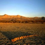 Declaran la Primera Zona Paleontológica de México, en Coahuila