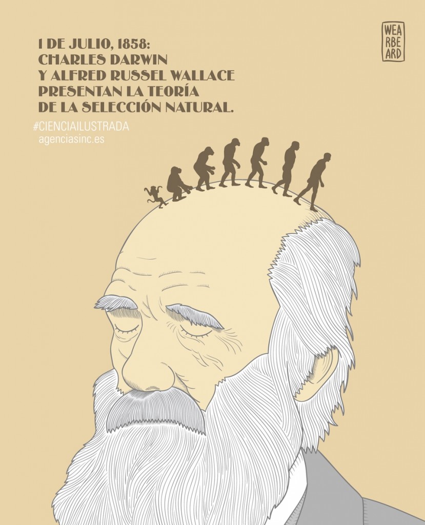 Darwin y Wallace la evolución de las especies- Wearbeard
