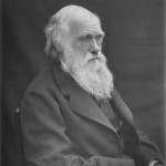 Charles Darwin: La selección natural inconmensurablemente superior a los esfuerzos del hombre