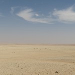Día Mundial de Lucha contra la Desertificación: Cada minuto se pierden 23 hectáreas de tierra