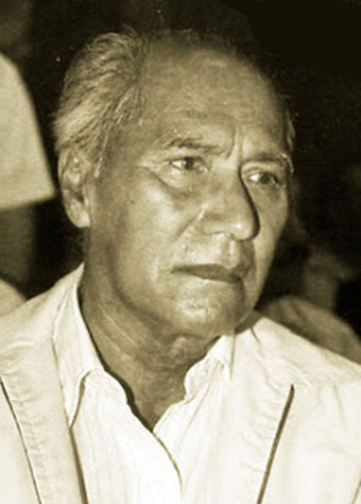 Jose Luis Melgarejo Vivanco