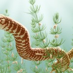 Las serpientes más antiguas jamás descubiertas revelan su verdadera edad