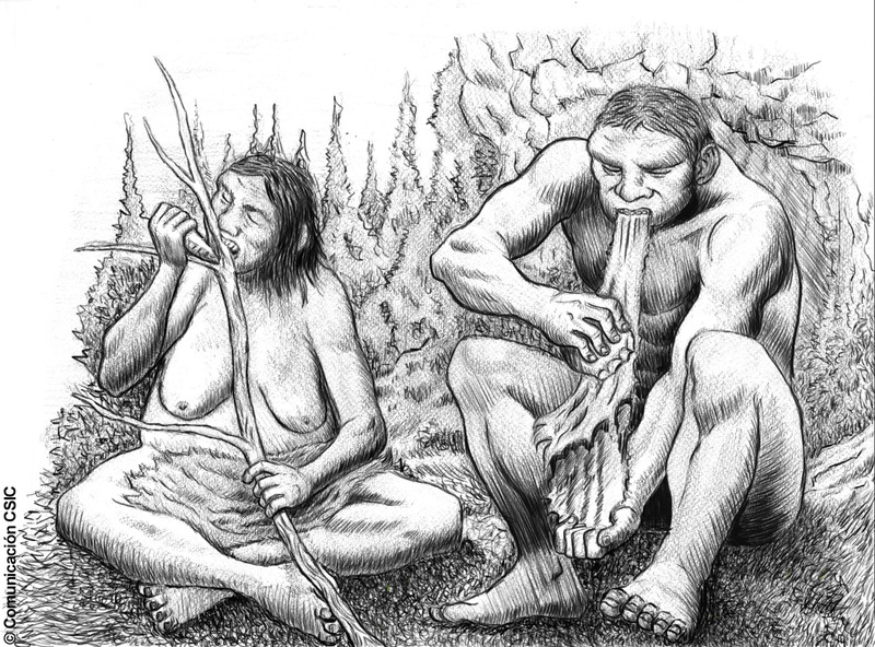 Los neandertales dividían las tareas por sexos