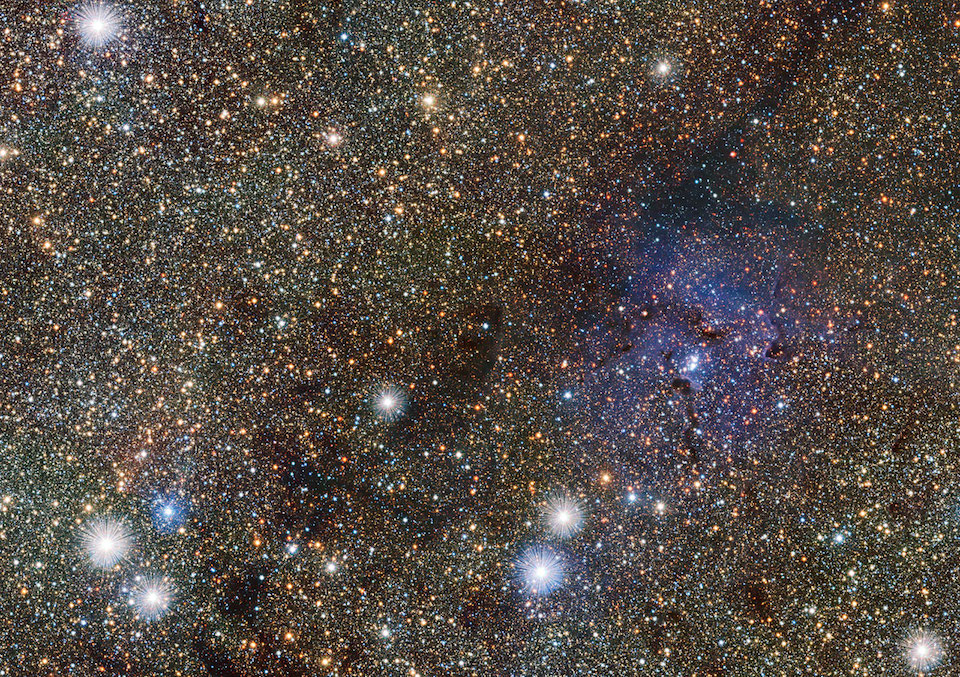 Nuevas estrellas variables al fondeo de la Via Lactea- ESO_VVV consortium_D Minniti