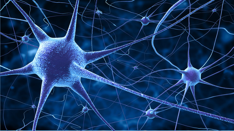 Neuronas- Fotolia