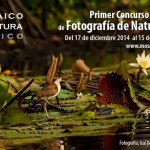 Primer concurso nacional de fotografía de naturaleza