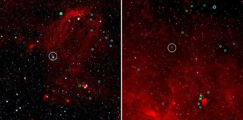 Primera detección de las esquivas estrellas FS Canis Majoris en cúmulos