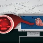 Ecuaciones matemáticas que sirven para estudiar enfermedades cardiacas