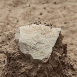 Descubren las herramientas de piedra más antiguas