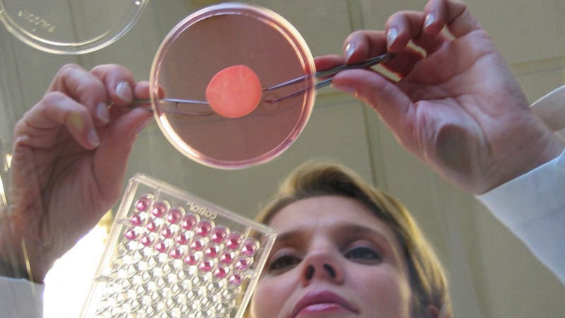 L’Oréal se alía con Organovo para imprimir piel humana en 3D