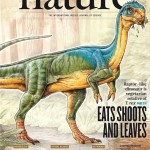 Un nuevo dinosaurio encontrado en la Patagonia chilena es portada de la revista ‘Nature’