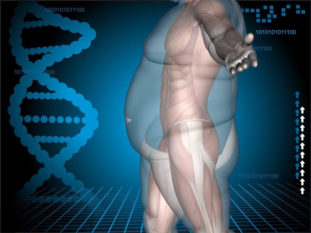 Obesidad y genética