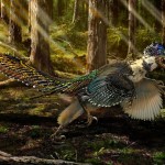Descubierto en China un pariente con plumas del ‘Velociraptor’
