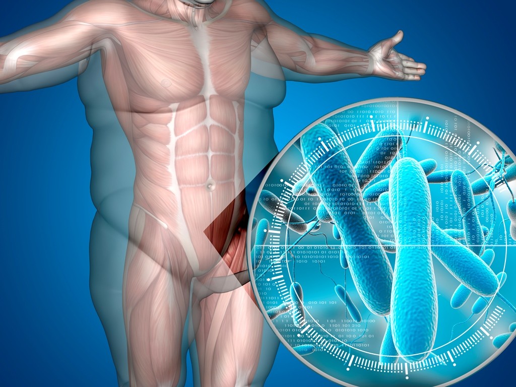 El equilibrio de los microorganismos presentes en el intestino humano, la diferencia entre salud y enfermedad