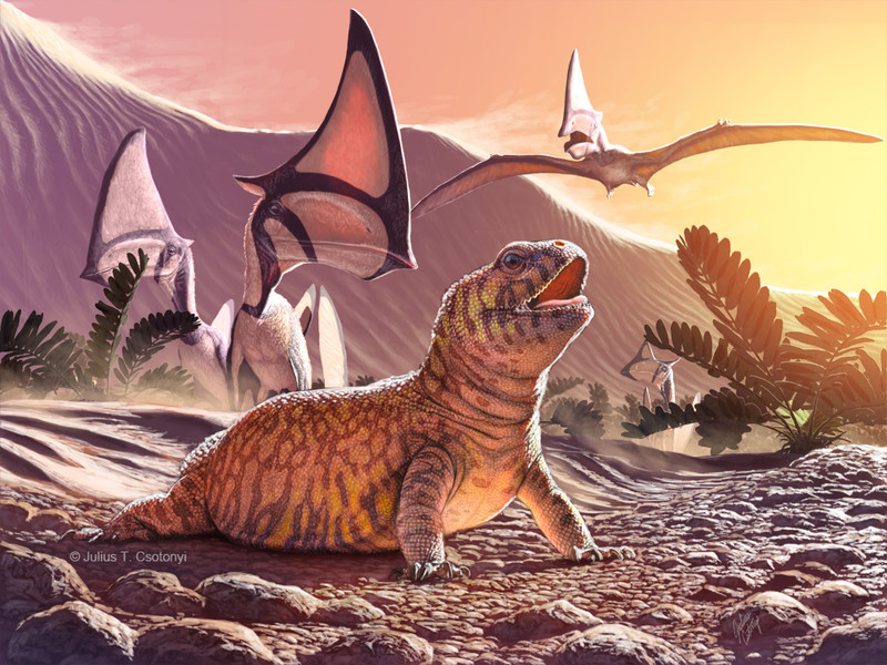 Un lagarto fósil hallado en Brasil da un vuelco a la evolución de estos reptiles