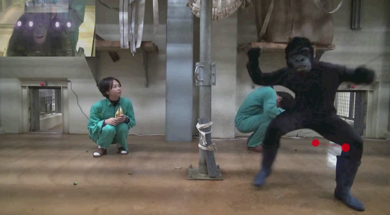 Los grandes simios saben distinguir una buena película de suspense