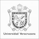 La Junta de Gobierno de la Universidad Veracruzana «solicita» al gobierno del estado la entrega de más de 2,000 millones de pesos retenidos