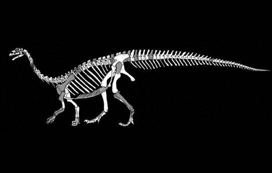 Sefapanosaurus zastronensis, una especie de dinosaurio que se extendió por el mundo