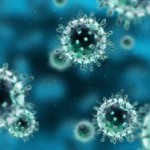 “Necesitamos una respuesta rápida contra las epidemias causadas por virus emergentes”