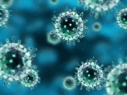 “Necesitamos una respuesta rápida contra las epidemias causadas por virus emergentes”
