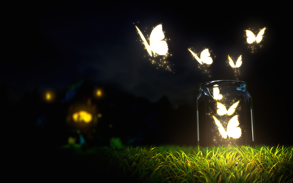 Mariposa utópica, mariposa de luz