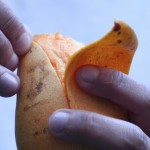 El mango podría prevenir el cáncer colorectal
