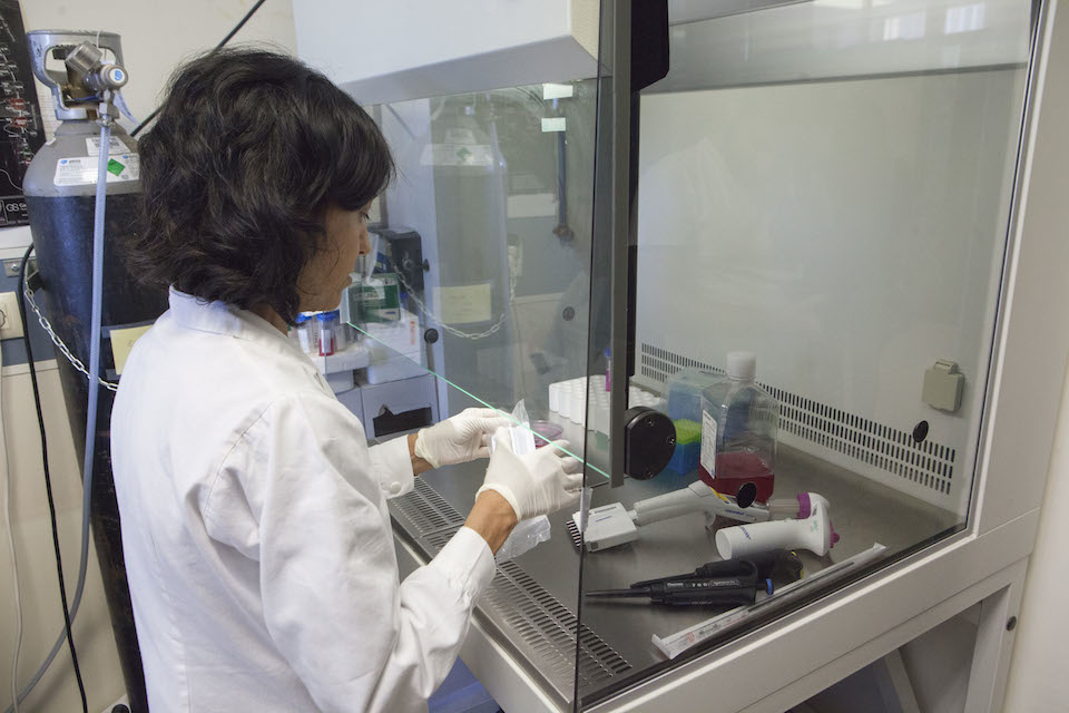 Una investigadora trabaja en el laboratorio- Foto UJI