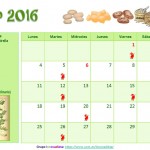 2016, Año Internacional de las Legumbres