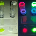 Bioled, un led con proteínas luminiscentes empaquetadas (VIDEO)