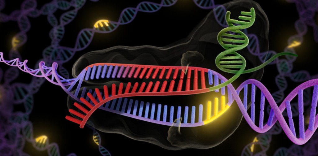 CRISPR, tecnología para edición genética- Universidad de Berkeley