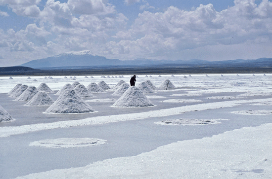 Lago Tauca, Los andes, Bolivia- D. Wilmann, IRD