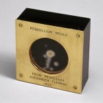 La penicilina, descubierta en 1928, aplicada a  un humano por primera vez en 1941