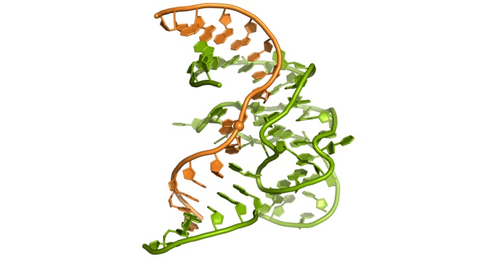 Primera estructura en 3D de la cara enzimática del ADN- A. Ponce-Salvatierra, Max-Planck-Institut fur biophysikalische Chemie