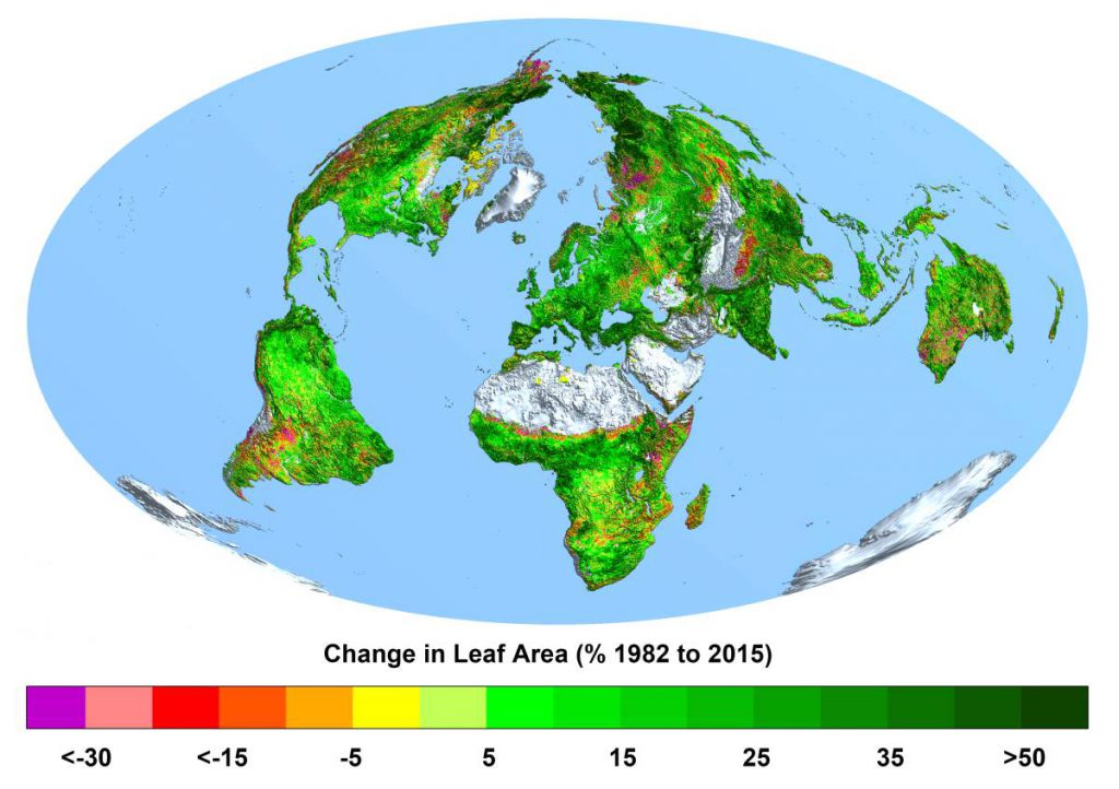 Cambio de la superficie foliar en porcentaje, de 1982 a 2015- Ranga B Myneni, Universidad de Boston