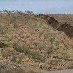 El 20% del territorio español se ha desertificado