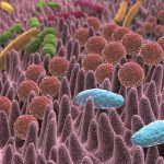 Alteraciones de la microbiota en pacientes con VIH