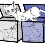 Un gato de Schrödinger vivo y muerto en dos cajas al mismo tiempo