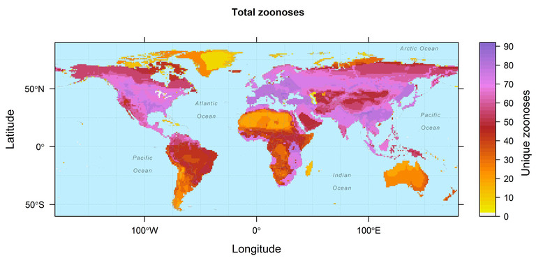 Este mapa muestra las áreas geográficas solapadas con las enfermedades zoonóticas transmitidas por especies de mamíferos terrestres huésped de 27 órdenes. / Drew Kramer