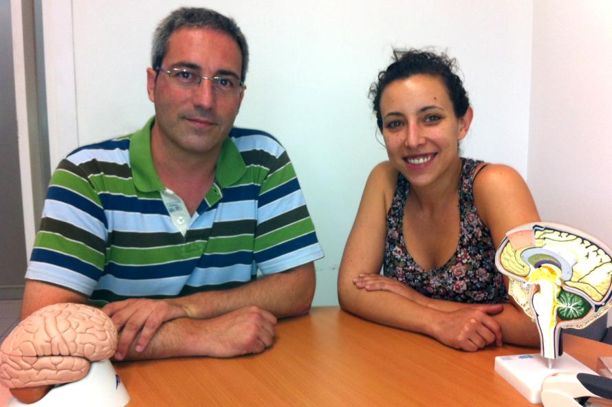 Bru Cormand y su colaboradora Cèlia Sintas, del departamento de Genética, Microbiología y Estadística y el Instituto de Biomedicina de la Universidad de Barcelona. / UB