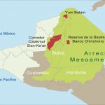 ¿Cómo preservar el Sistema Arrecifal Mesoamericano?