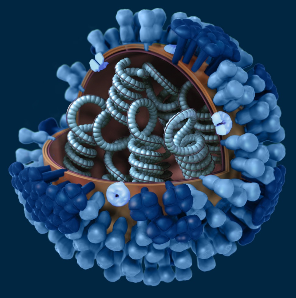 Virus de la influenza en 3D