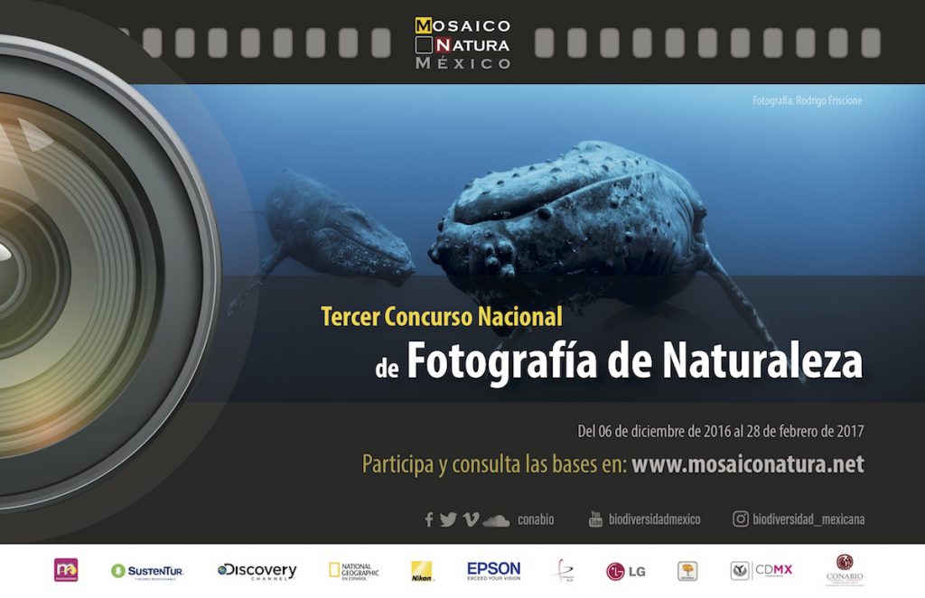 Tercer Concurso Nacional de Fotografía de Naturaleza