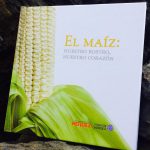 Cuando hay escasez de maíz en México, es por movimientos especulativos