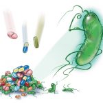 Bacterías resistentes a los antibióticos en El Valle del Mezquital
