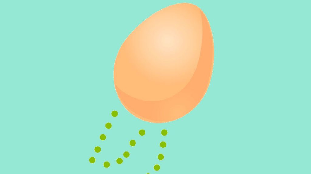Como hacer saltar un huevo