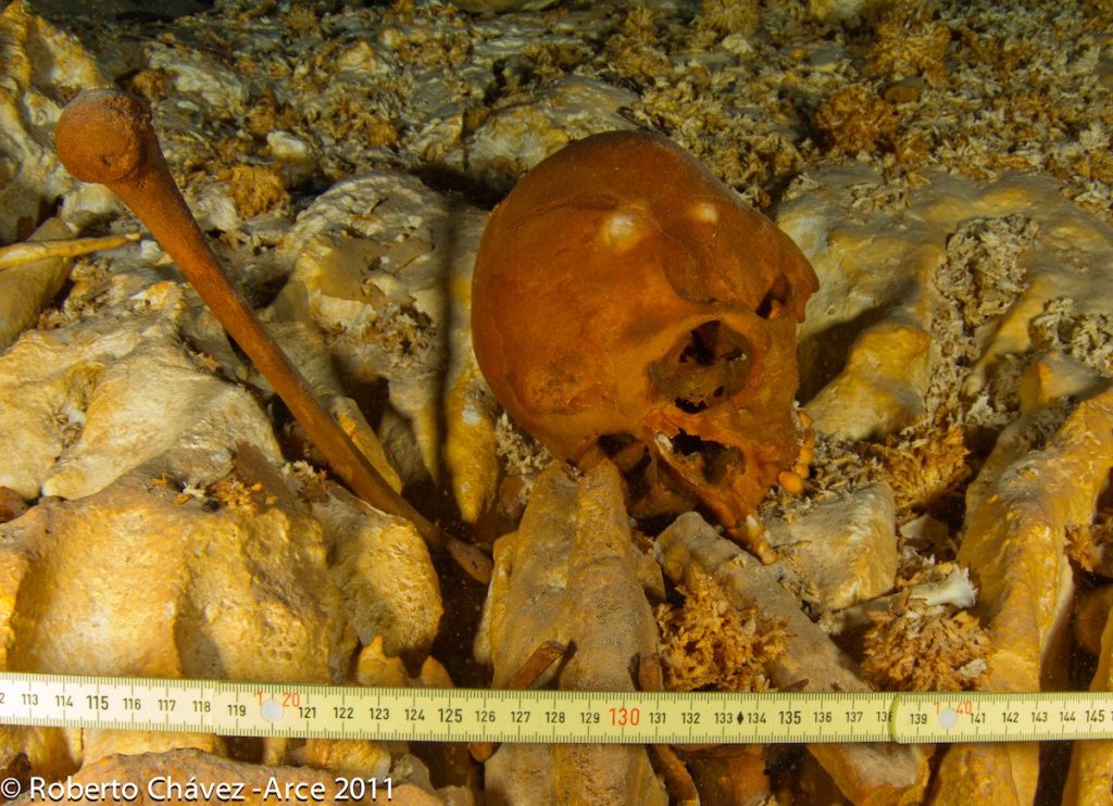 Cráneo y húmero de Naia, en Hoyo Negro- Roberto Chávez Arce, archivo SAS-INAH