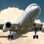 Biocombustible para aviones extraído de plantas