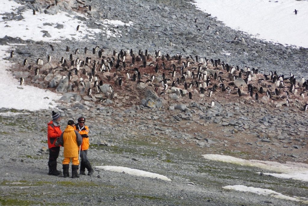 Contaminación humana en la Antártica- URJC-IGME