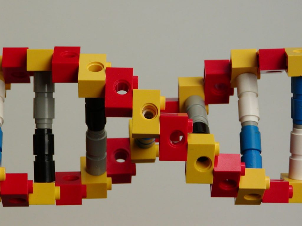 Cadena de ADN armada con legos