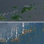 Las islas del Caribe ya no son verdes, después de que pasó el huracán Irma